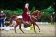 Galahad & Kamila Tul, „ARABIA-Polska” Arabian Horse Festival 2011 by Michał Bałkowski