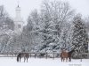 Winter in Chrcynno-Palace Stud, photo Karol Rzeczycki