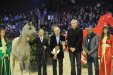 World Top Ten Yearling Colt Psyche Keret, Czempionat Świata Paryż 2012, fot. Urszula Sawicka