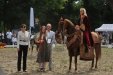Galahad, „ARABIA-Polska” Arabian Horse Festival, Warszawa 2011, fot.: Urszula Sawicka