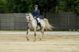 Echo Orfeusz, Polish National Sport Championships for Arabian Horses 2016, photo: Agnieszka Poros